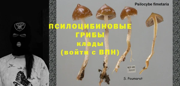 амф Беломорск