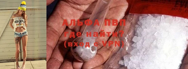 хмурый Белокуриха