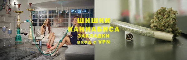 хмурый Белокуриха