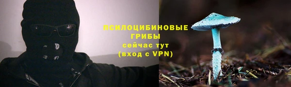 дурь Богородицк