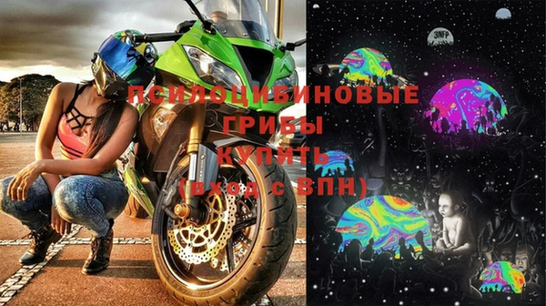 хмурый Белокуриха