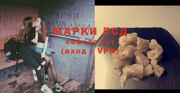 хмурый Белокуриха