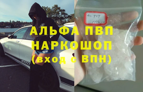 амф Беломорск