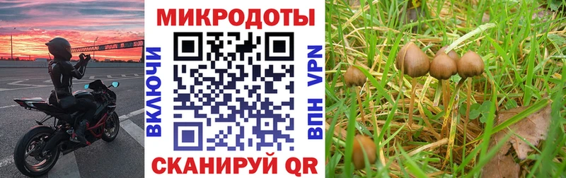 Псилоцибиновые грибы мухоморы  Верхняя Пышма 